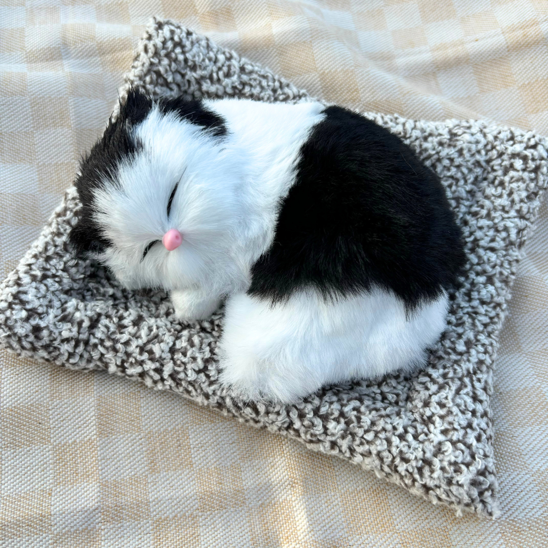 Cute & Adorable Sleeping Cat on Soft Bed