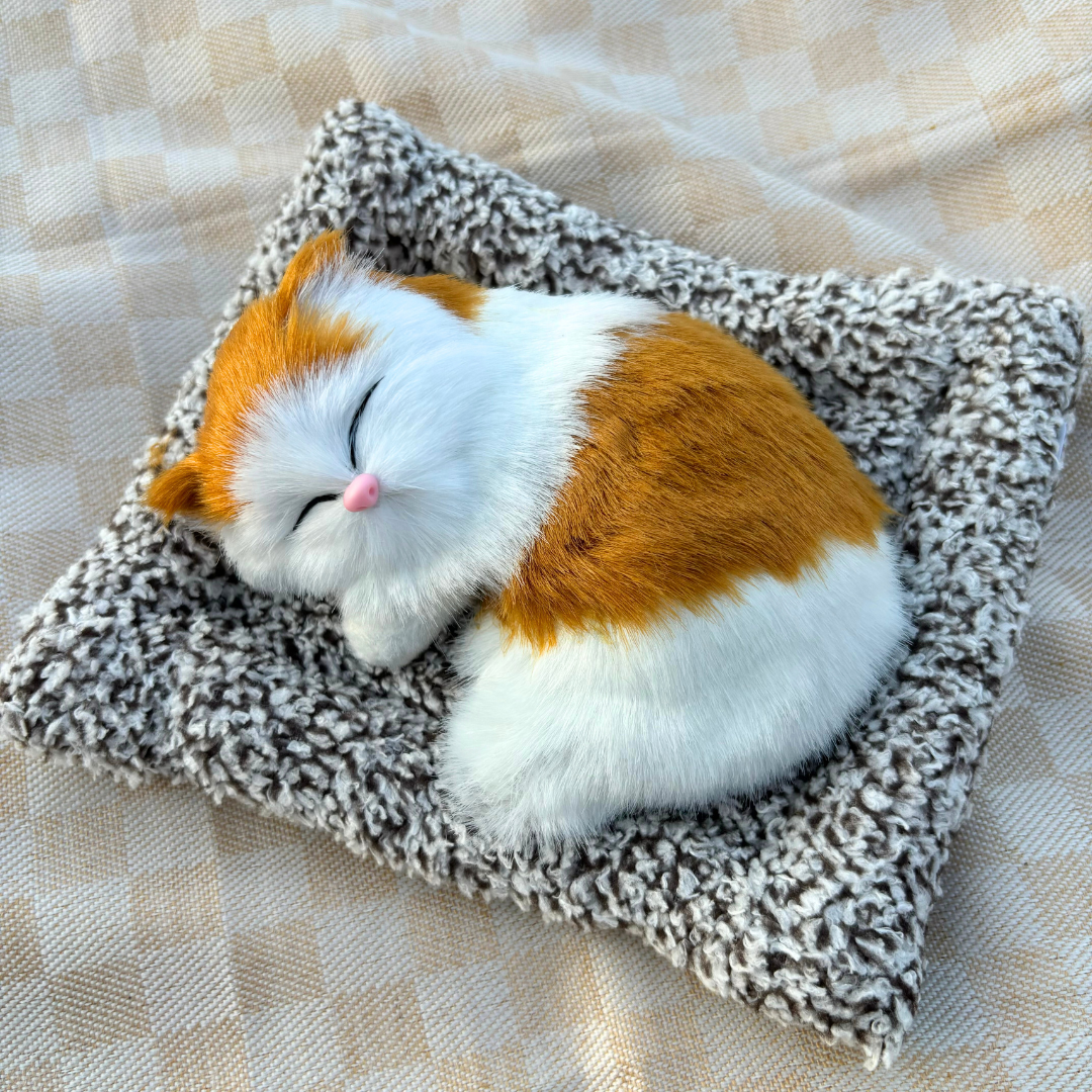 Cute & Adorable Sleeping Cat on Soft Bed