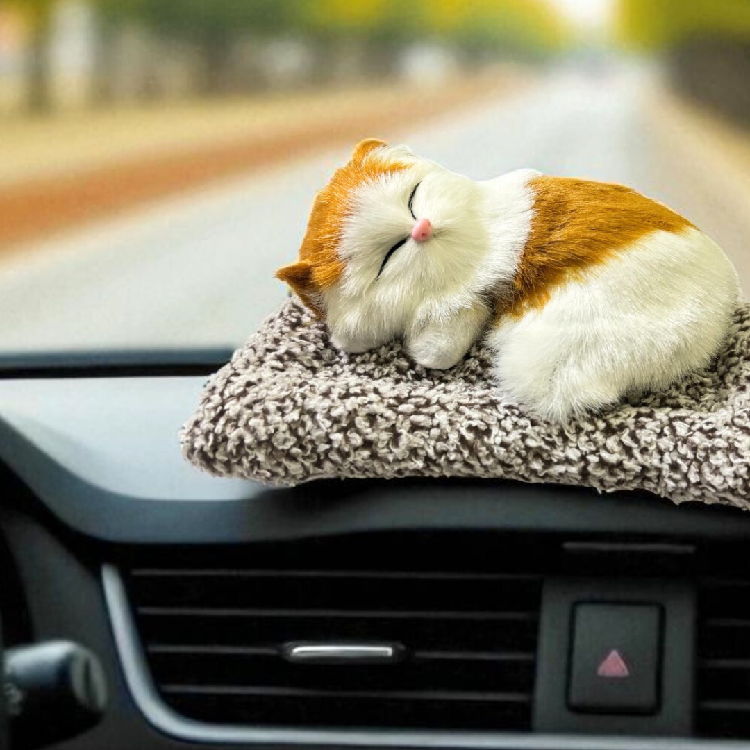 Cute & Adorable Sleeping Cat on Soft Bed