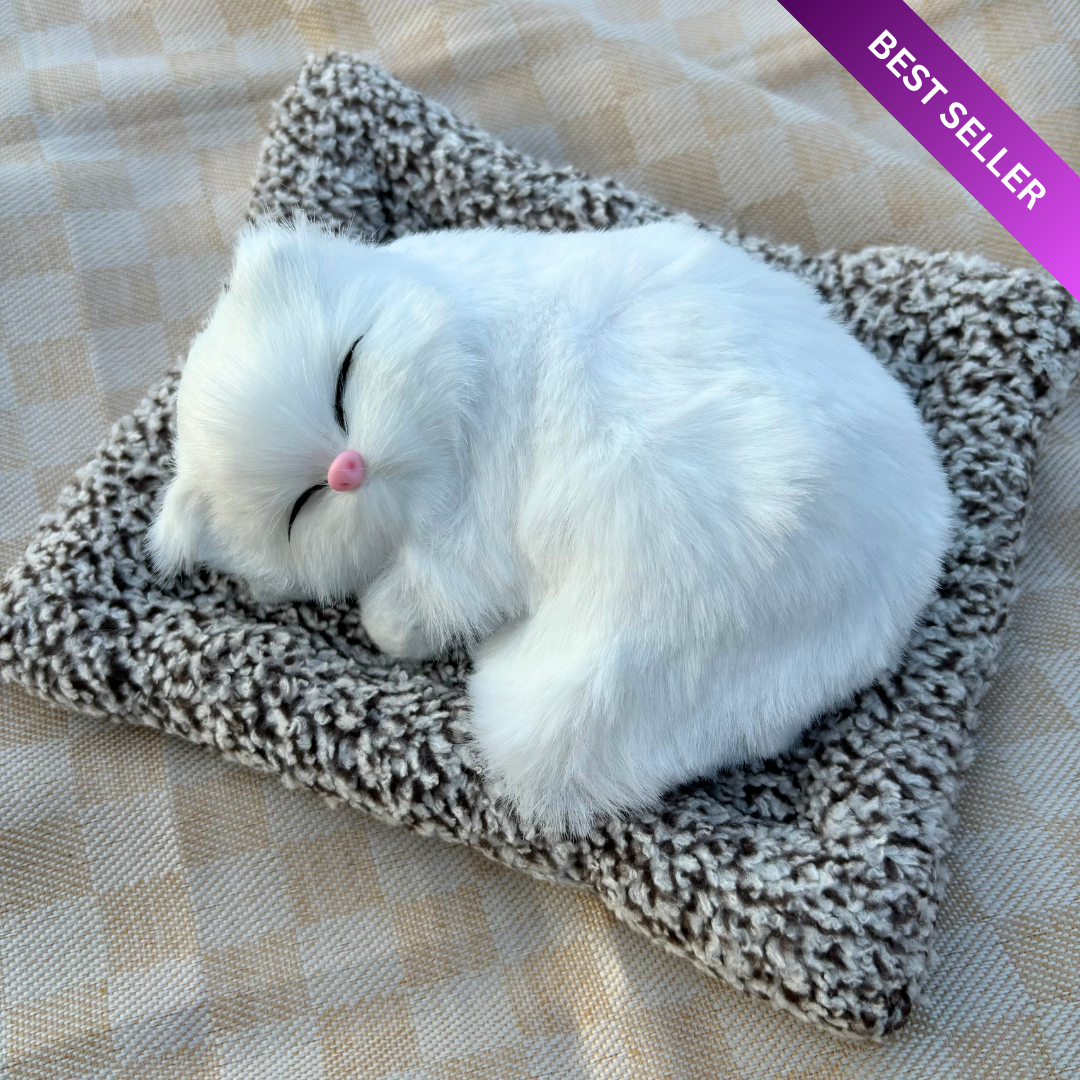 Cute & Adorable Sleeping Cat on Soft Bed