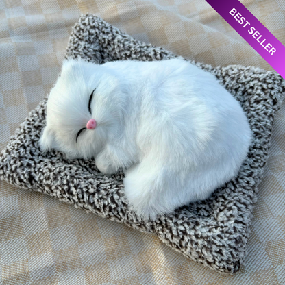 Cute & Adorable Sleeping Cat on Soft Bed