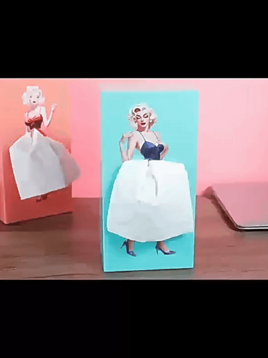 Innovative Plastic Tissue Dispenser Box (1 Pc)